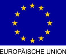 EU-Flagge 12 gelbe Sterne auf blauem Grund
