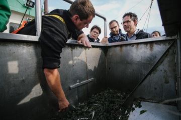Ministerin Birgit Honé zeigt Vertretern der EU Kommission die Praxis des Krabbenfangens