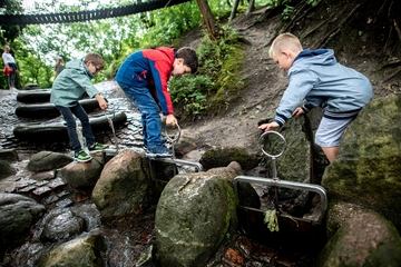 Sommerreise 2023 Bremervörde