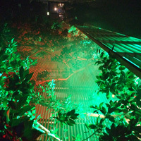 Der Garten Eden in der Landesvertretung